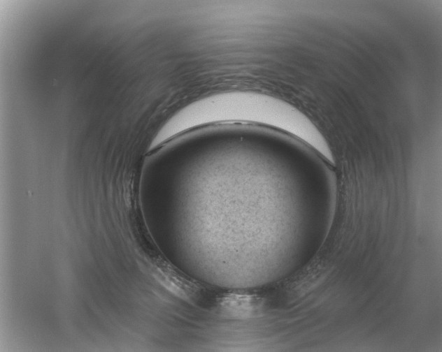 X0000053000227200507151930