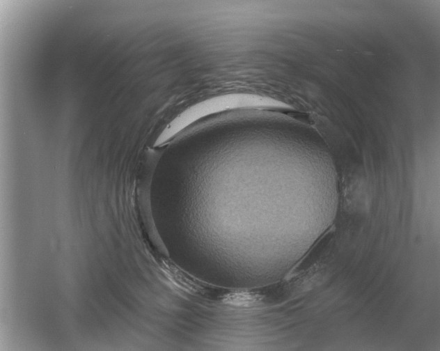 X0000053000231200507151930