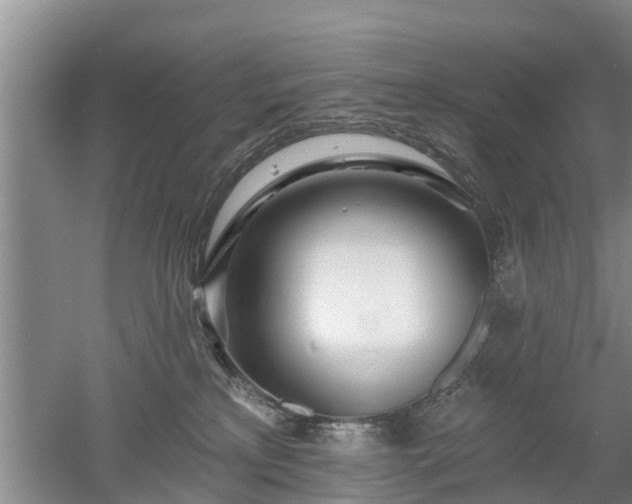 X0000053000233200507151930