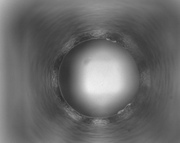 X0000053000234200507151930