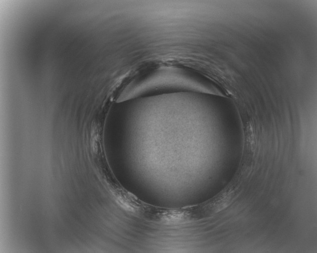 X0000053000235200507151929