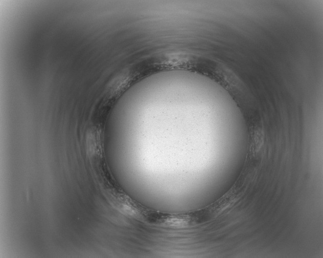 X0000053000236200507151929