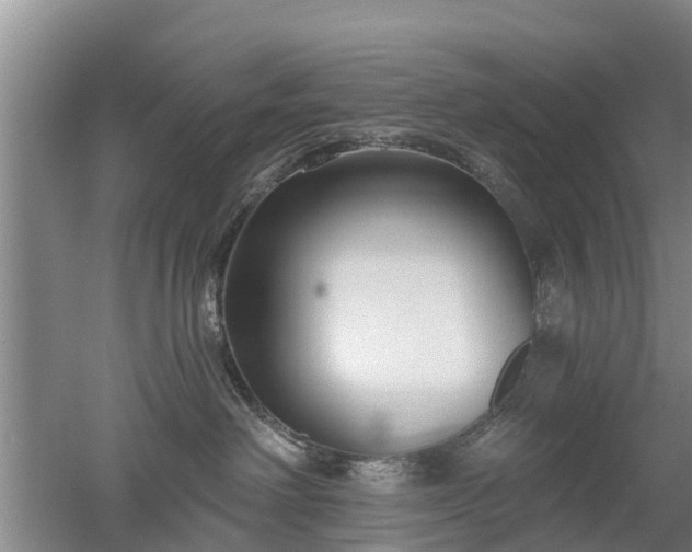 X0000053000238200507151929