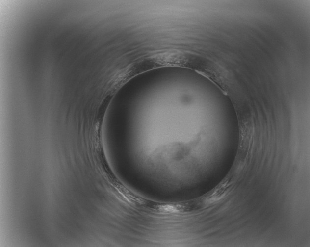 X0000053000239200507151929