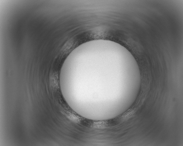 X0000053000240200507151929