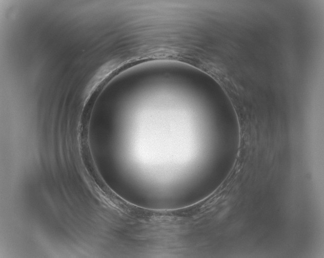 X0000053000242200507151929