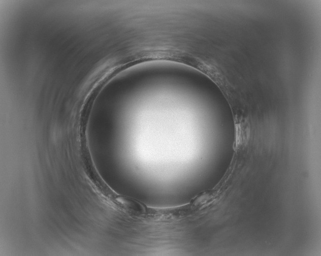 X0000053000243200507151929