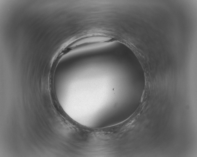 X0000053000244200507151929