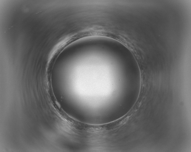 X0000053000245200507151929