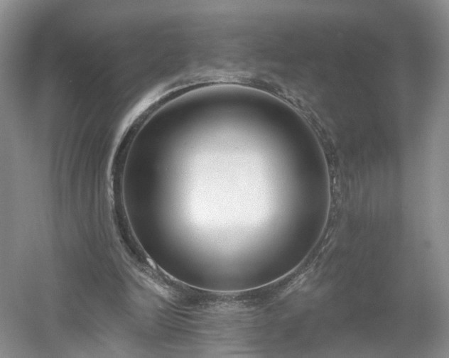 X0000053000246200507151929