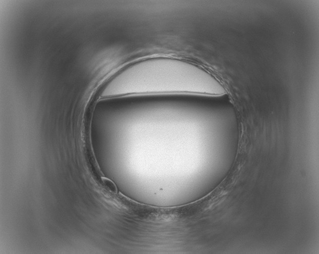 X0000053000247200507151929