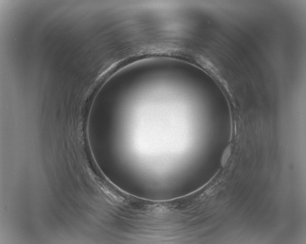 X0000053000249200507151929