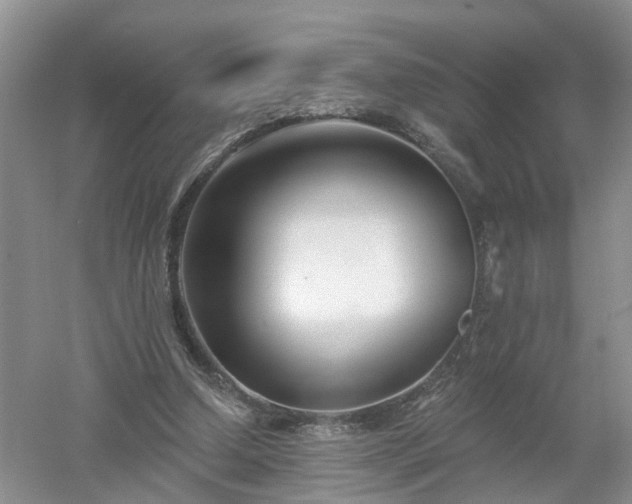 X0000053000250200507151929