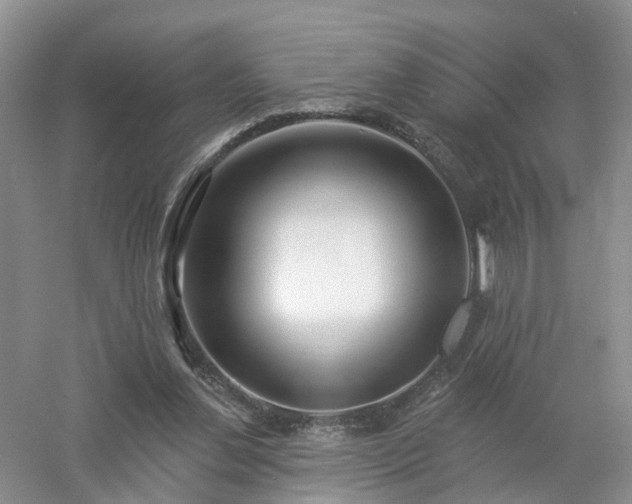 X0000053000252200507151929