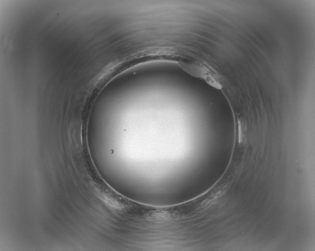 X0000053000253200507151929