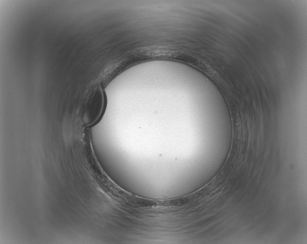 X0000053000255200507151929