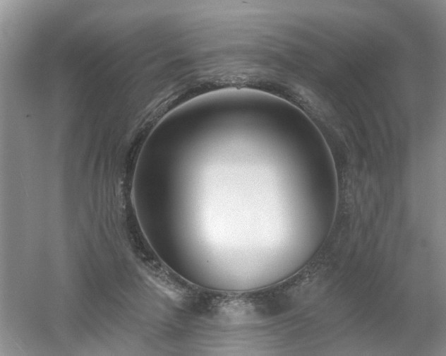 X0000053000258200507151929