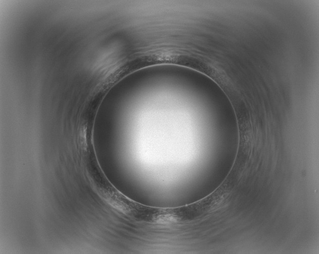 X0000053000262200507151929