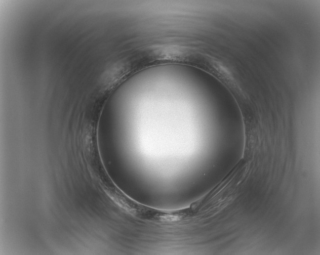 X0000053000265200507151929