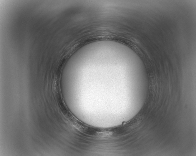 X0000053000266200507151929