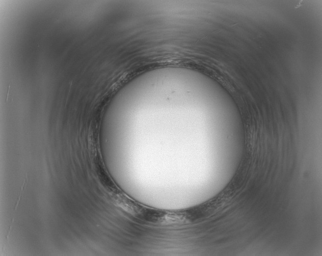 X0000053000270200507151929