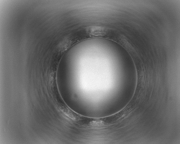 X0000053000271200507151929