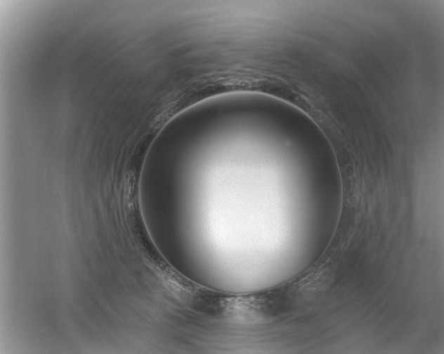 X0000053000273200507151929