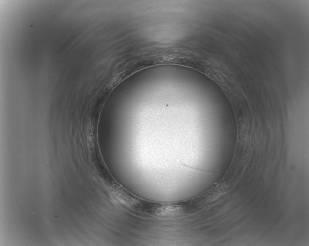 X0000053000274200507151929