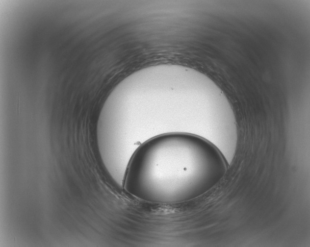 X0000053000276200507151929