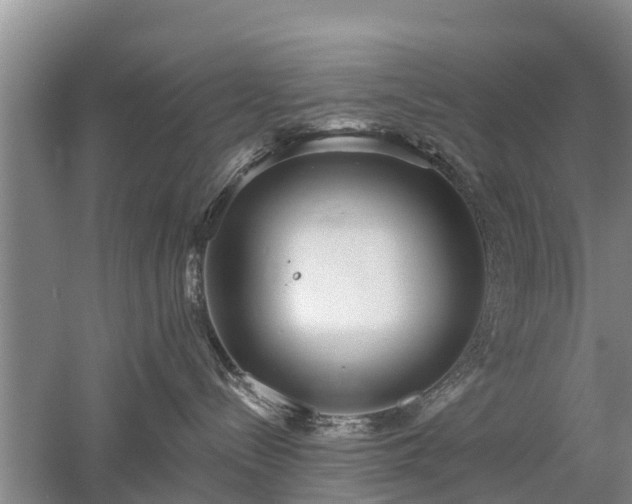 X0000053000288200507151929