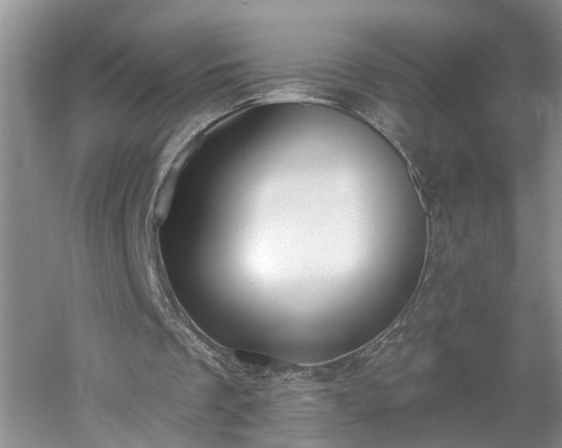 X0000053000289200507151929