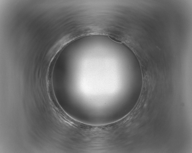 X0000053000290200507151929