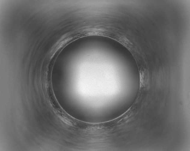 X0000053000291200507151929