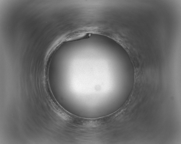 X0000053000293200507151928