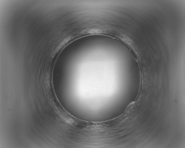 X0000053000297200507151928