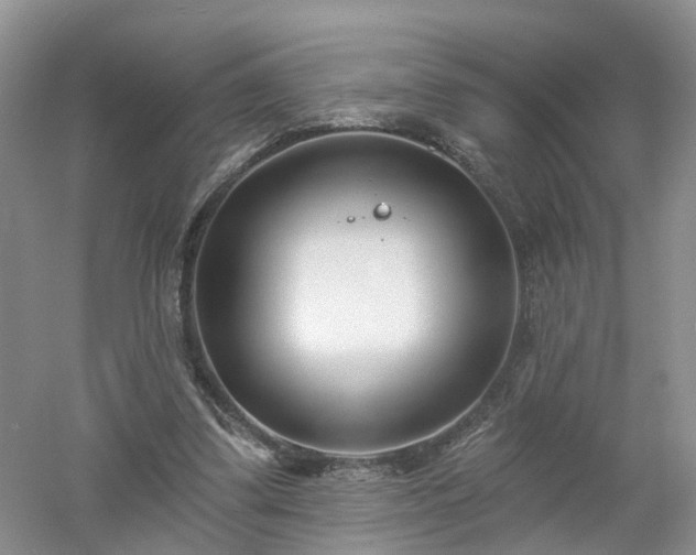 X0000053000299200507151928