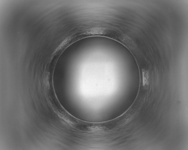 X0000053000300200507151928