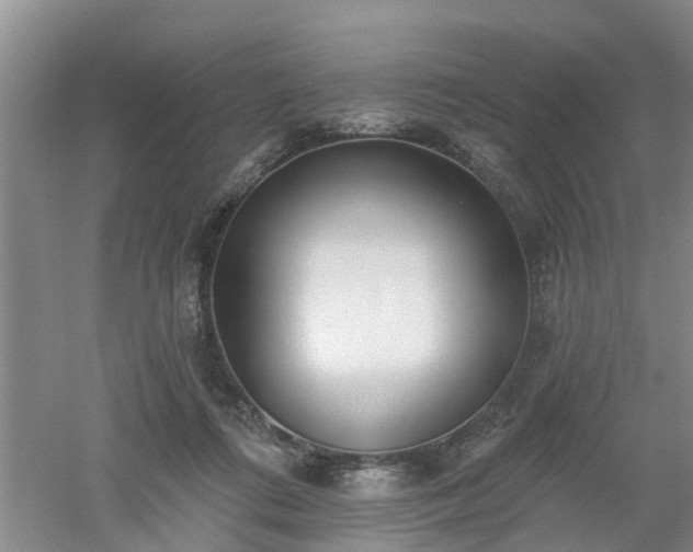 X0000053000312200507151928