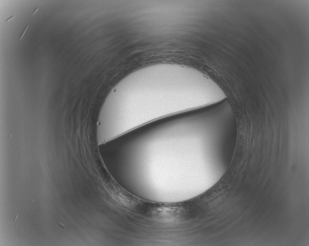 X0000053000323200507151928