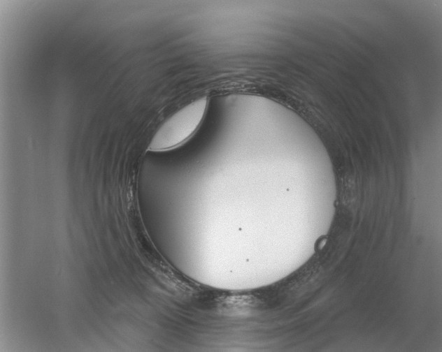 X0000053000324200507151928