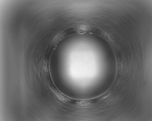 X0000053000331200507151928