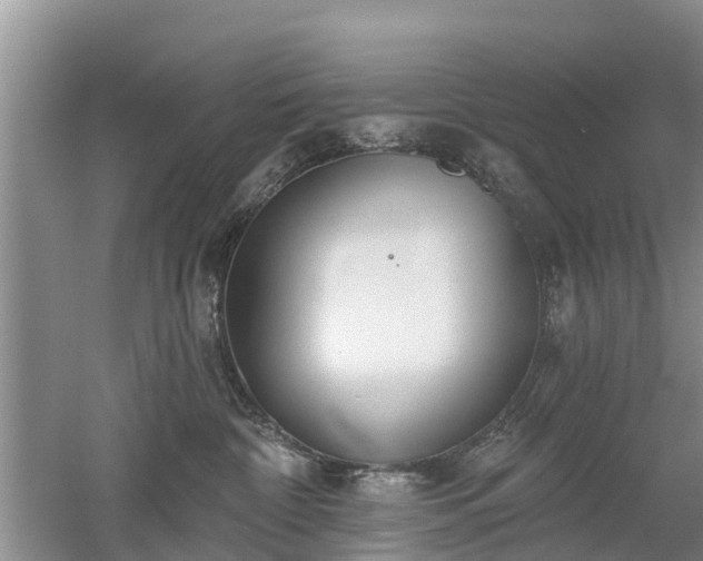 X0000053000332200507151928