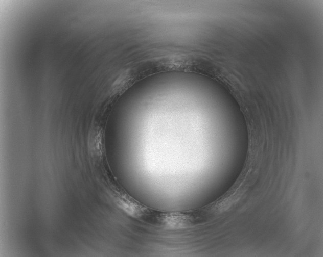 X0000053000336200507151928