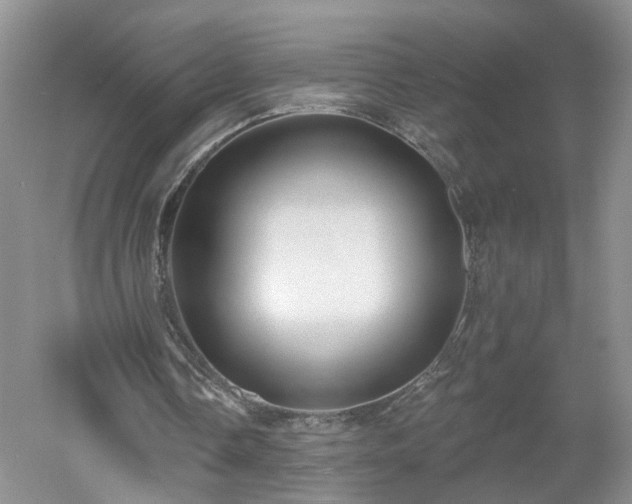 X0000053000338200507151927