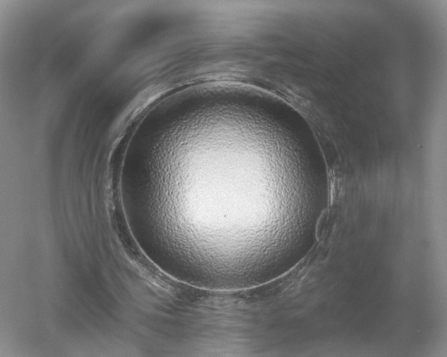 X0000053000339200507151927