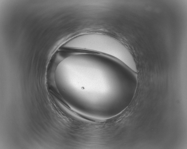 X0000053000340200507151927