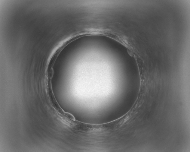 X0000053000342200507151927