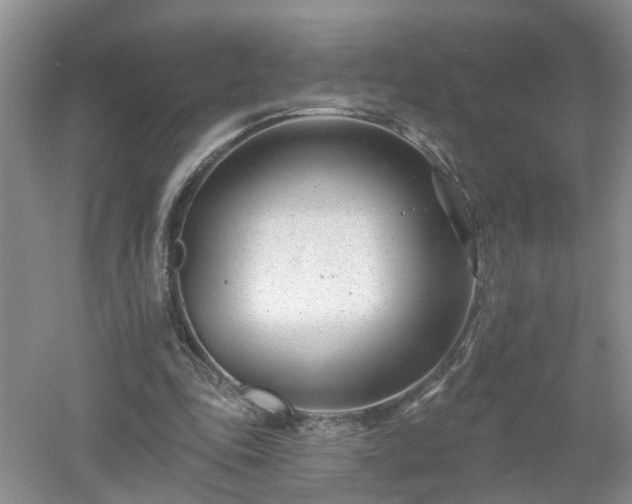 X0000053000343200507151927