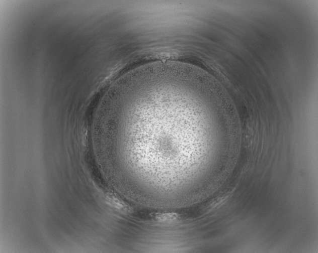 X0000053000355200507151927