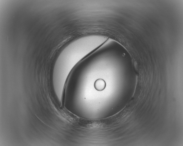 X0000053000356200507151927